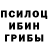 Псилоцибиновые грибы мухоморы Sergei Yakob