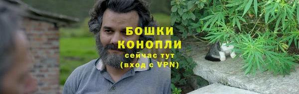 стаф Каменск-Шахтинский