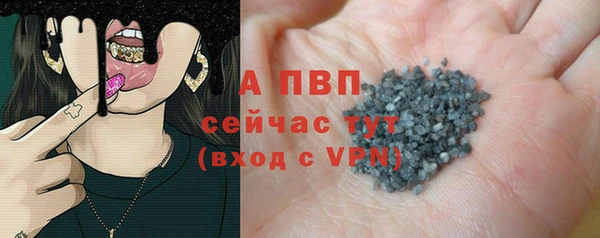 крисы Каменногорск