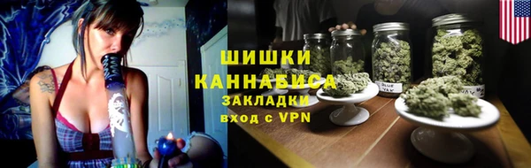 крисы Каменногорск
