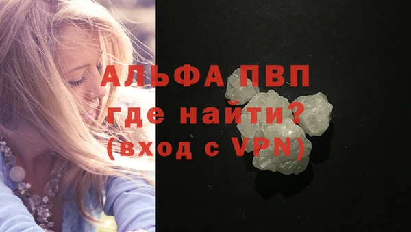 PSILOCYBIN Каменка