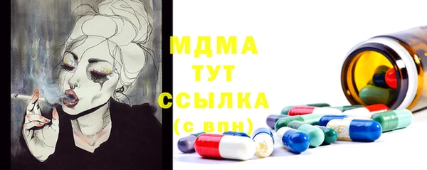 PSILOCYBIN Каменка