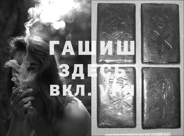 стаф Каменск-Шахтинский