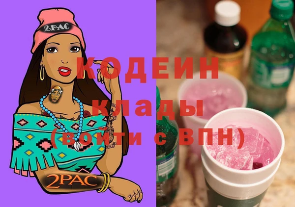 стаф Каменск-Шахтинский