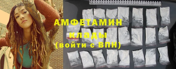 PSILOCYBIN Каменка