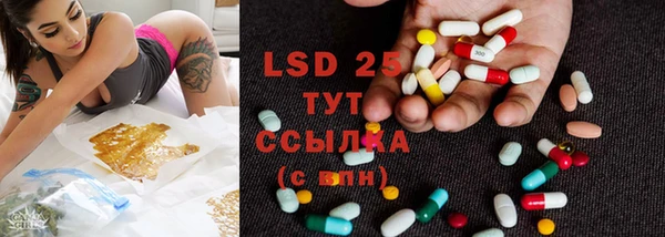 PSILOCYBIN Каменка