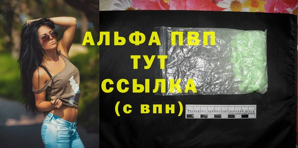 стаф Каменск-Шахтинский
