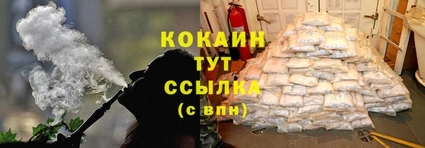 стаф Каменск-Шахтинский