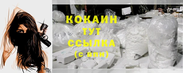 крисы Каменногорск