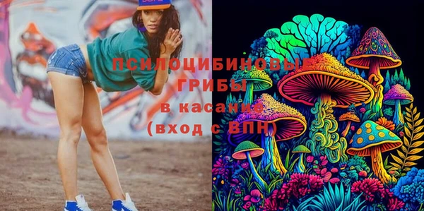 крисы Каменногорск